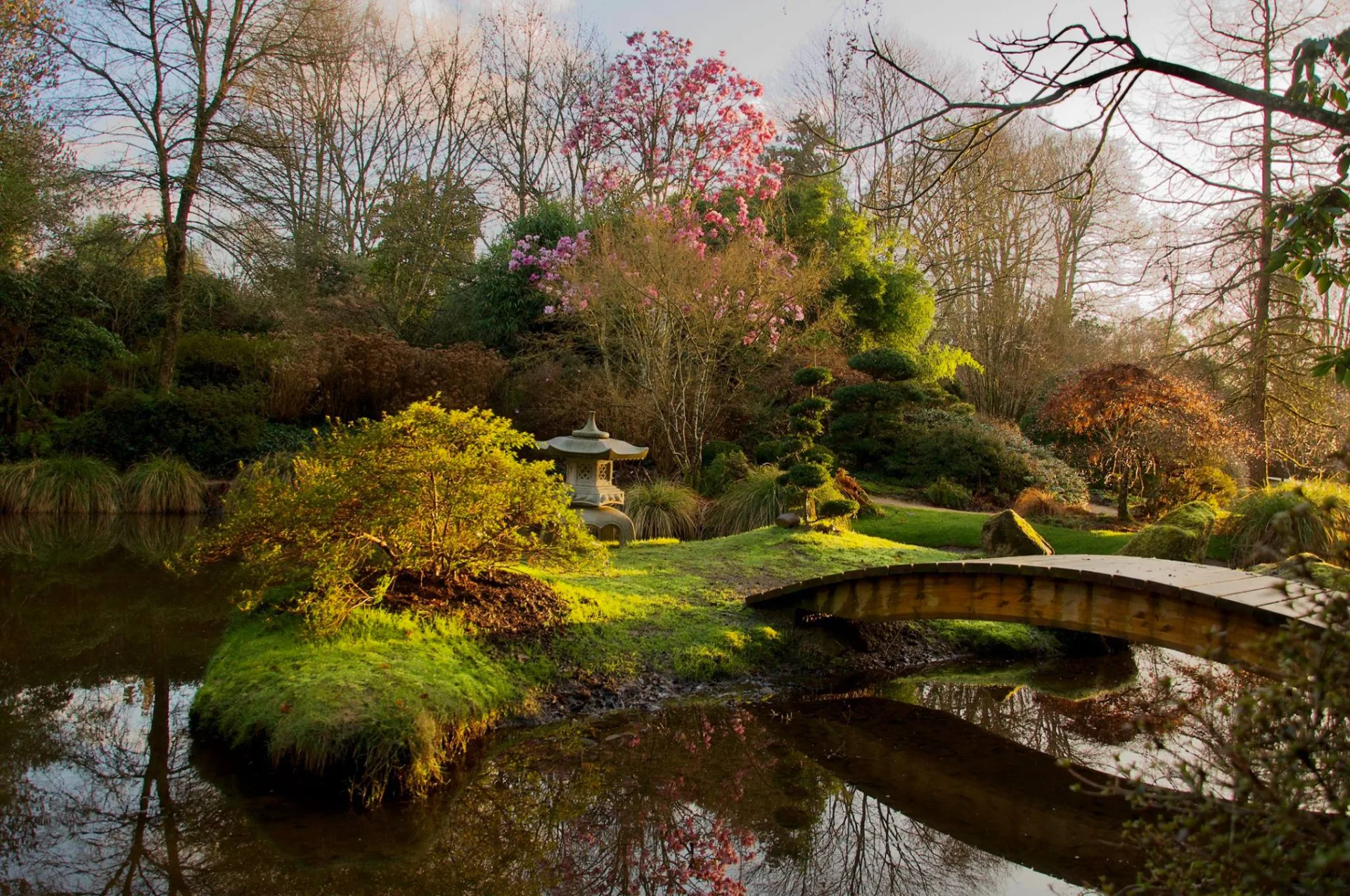 jardin japonais PBHB