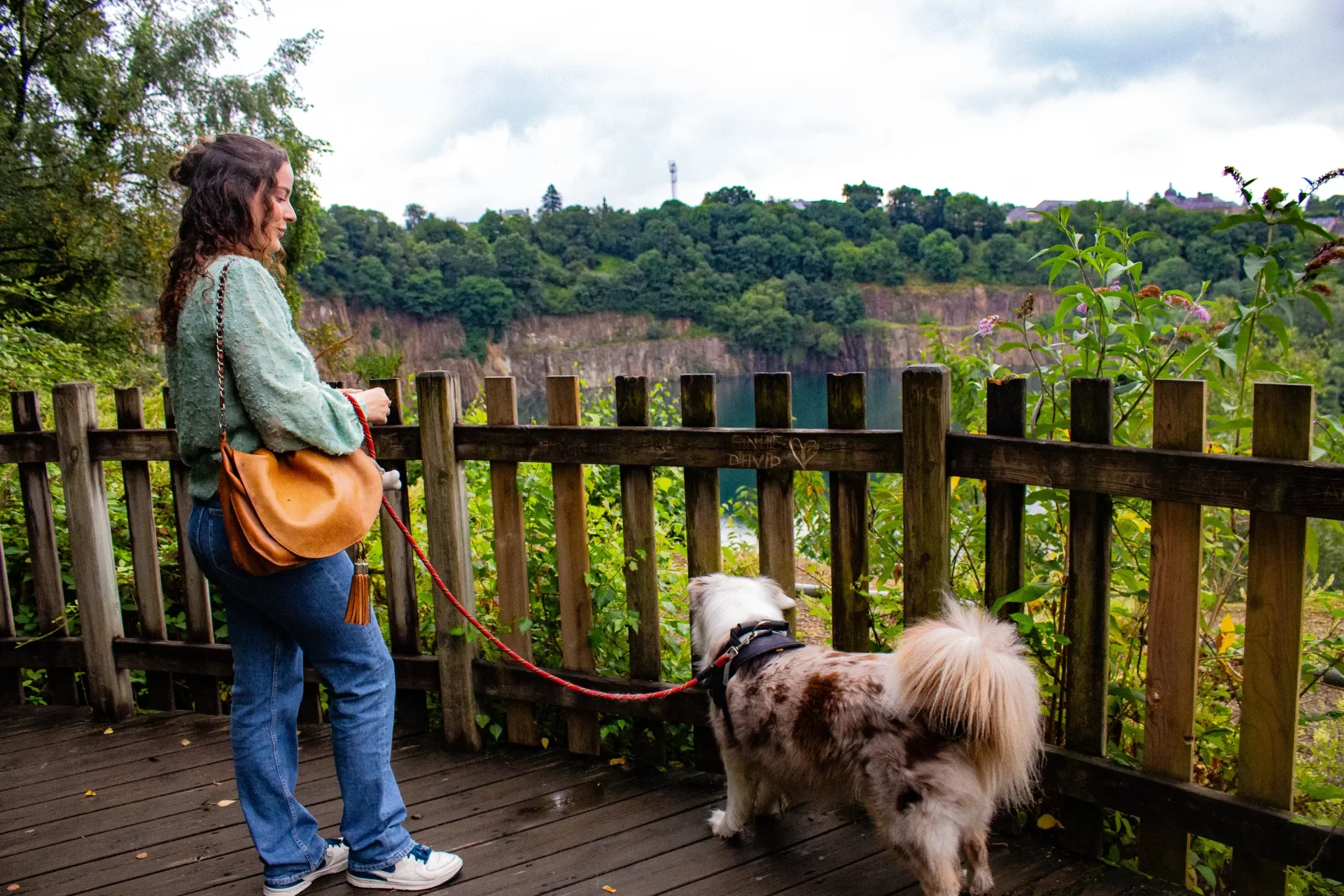 Le Toutourisme à Fougères : Balades et Activités à Faire avec Votre Chien