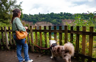 Le Toutourisme à Fougères : Balades et Activités à Faire avec Votre Chien