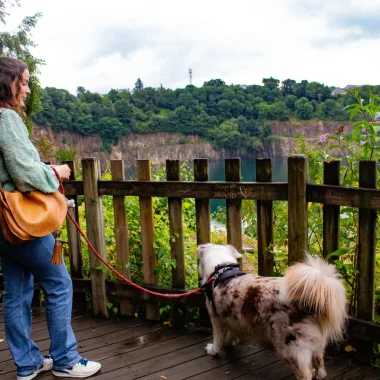 Le Toutourisme à Fougères : Balades et Activités à Faire avec Votre Chien